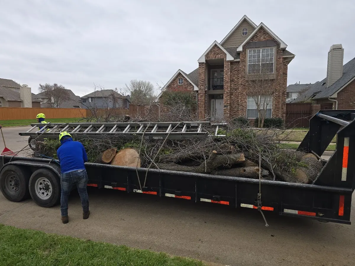 Expert Tree Fertilization with proper safety equipment in Winter Haven